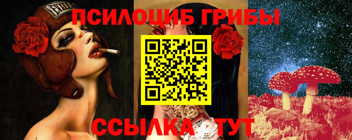 Псилоцибиновые грибы Cubensis Воткинск