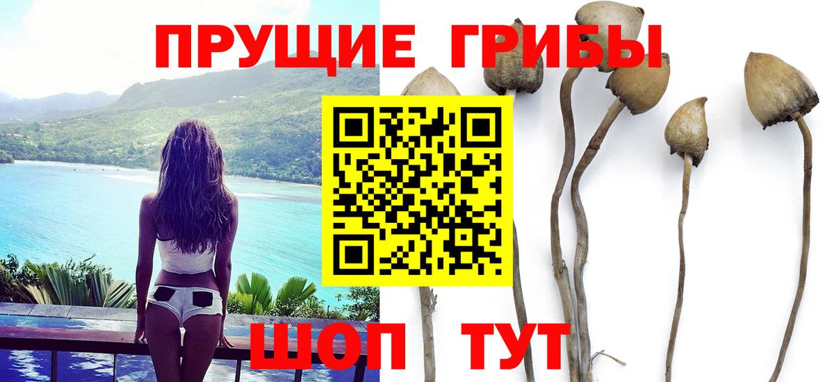 Воткинск  Псилоцибиновые грибы GOLDEN TEACHER  Вход с VPN 